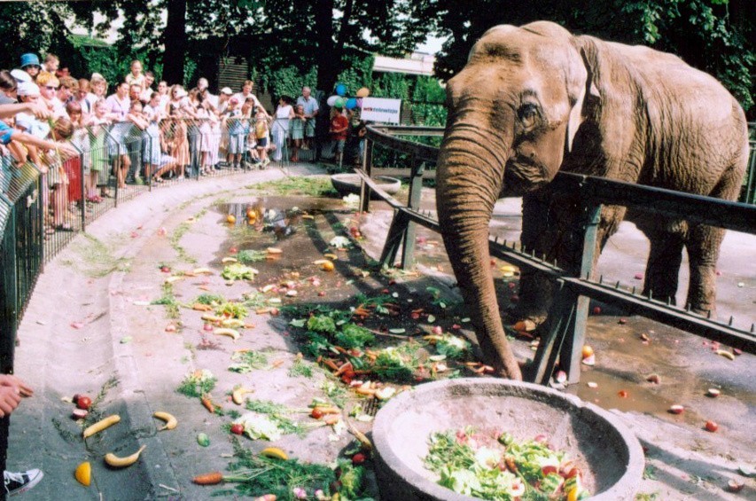 gdansk zoo